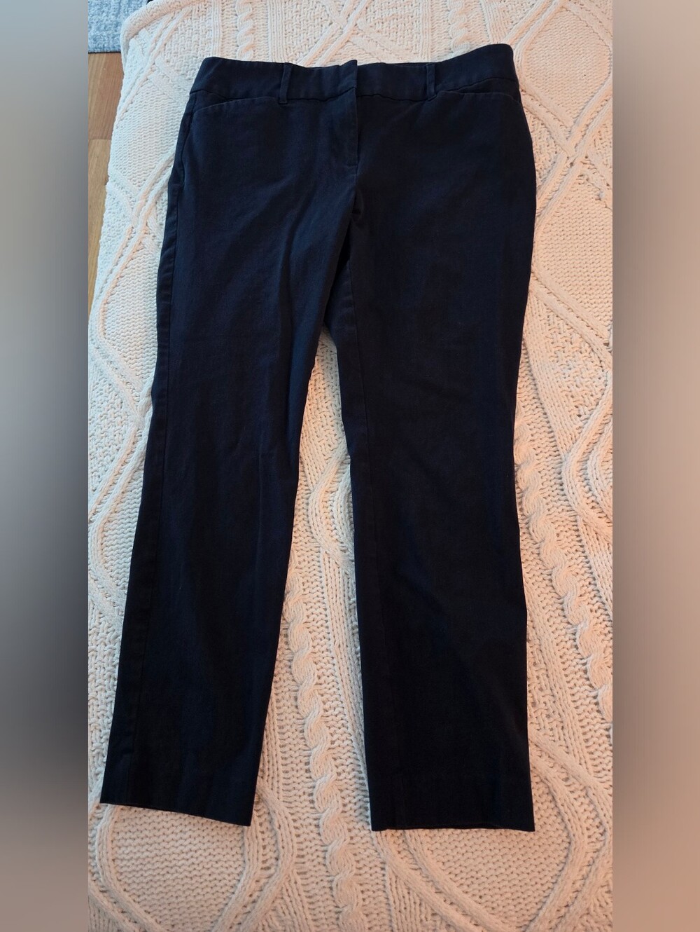 LOFT Classic Straight-Leg Blue Chinos Size 10